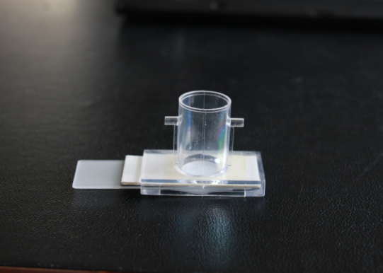 細(xì)胞保存液