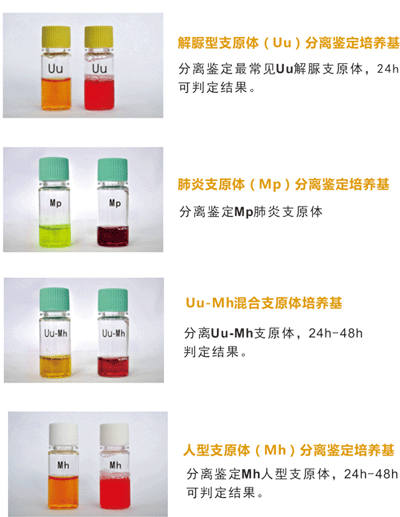 迪爾支原體（UU、Mh）分離培養(yǎng)藥敏試劑盒