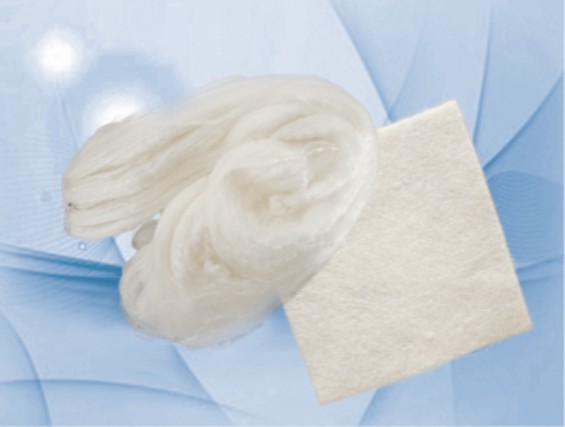 艾吉康藻酸鹽敷料