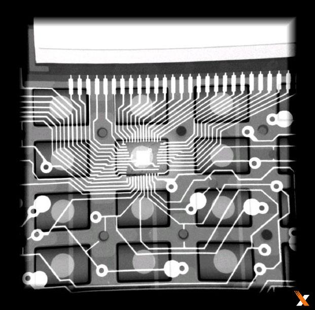 美國Faxitron生物學(xué)X射線小動(dòng)物骨密度儀
