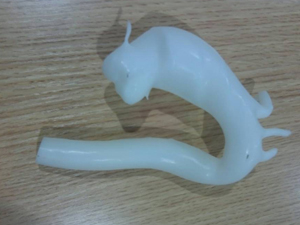 心血管手術(shù)模型