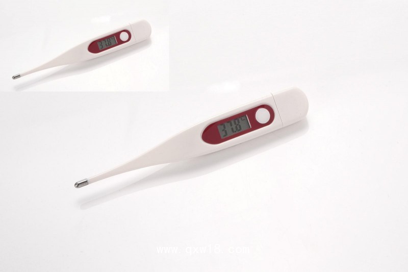 硬頭電子體溫計L900A