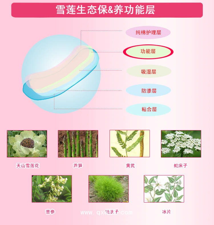 排毒養(yǎng)元貼定制，雪蓮貼OEM貼牌，貼膏生產(chǎn)廠家