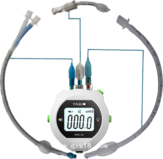雅果電子氣囊測(cè)壓表