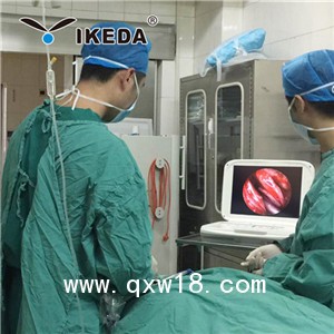 供應(yīng)耳鼻喉科使用的內(nèi)窺鏡攝像機，全新一體機便攜式