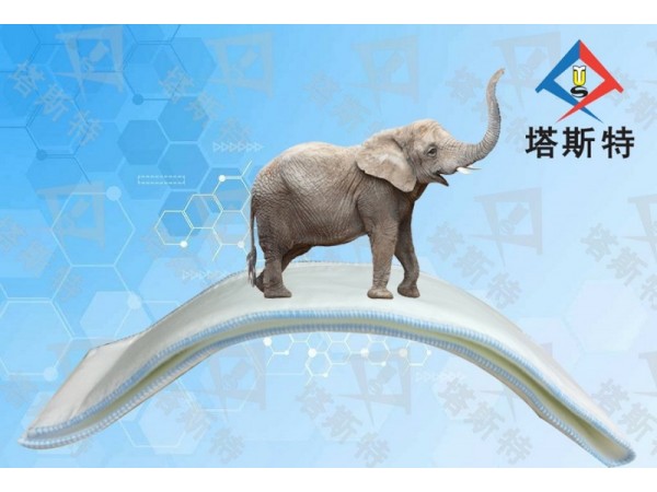塔斯特高分子夾板繃帶舒適安全，硬化速度快，透X光，防水性強