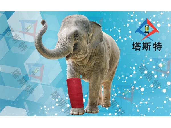 塔斯特高分子繃帶性價比高，強度高，重量輕，固化快
