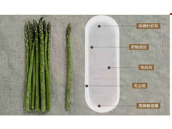 女性 排毒養(yǎng)元貼OEM貼牌加工