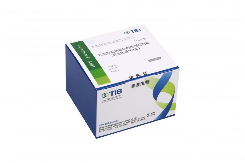 乙型肝炎病毒核酸定量檢測(cè)試劑盒（PCR-熒光探針法）