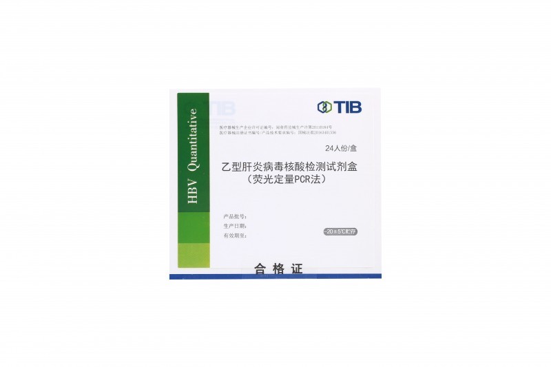 乙型肝炎病毒核酸定量檢測(cè)試劑盒（PCR-熒光探針法）