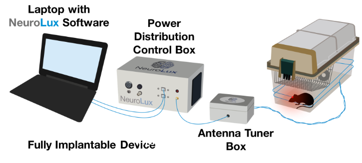 光遺傳學科研工具