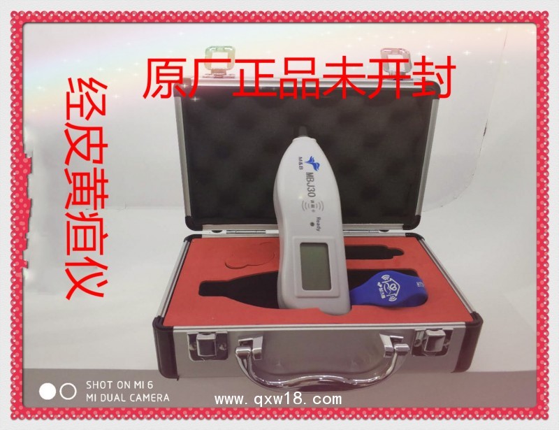 黃疸檢測儀