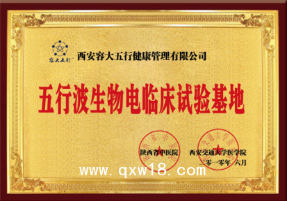 中醫(yī)經(jīng)絡(luò)檢測儀