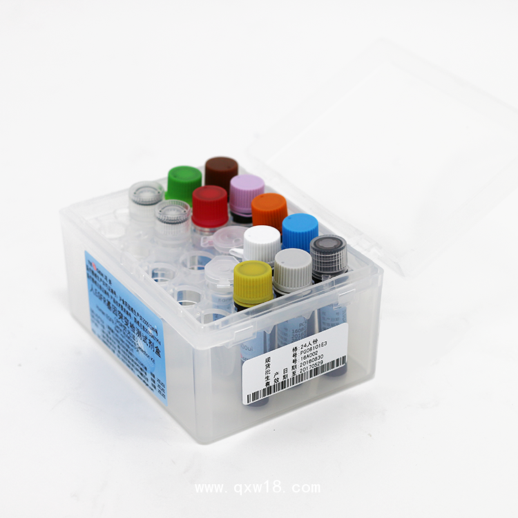 人 B-RAF 基因 V600E 突變檢測試劑盒