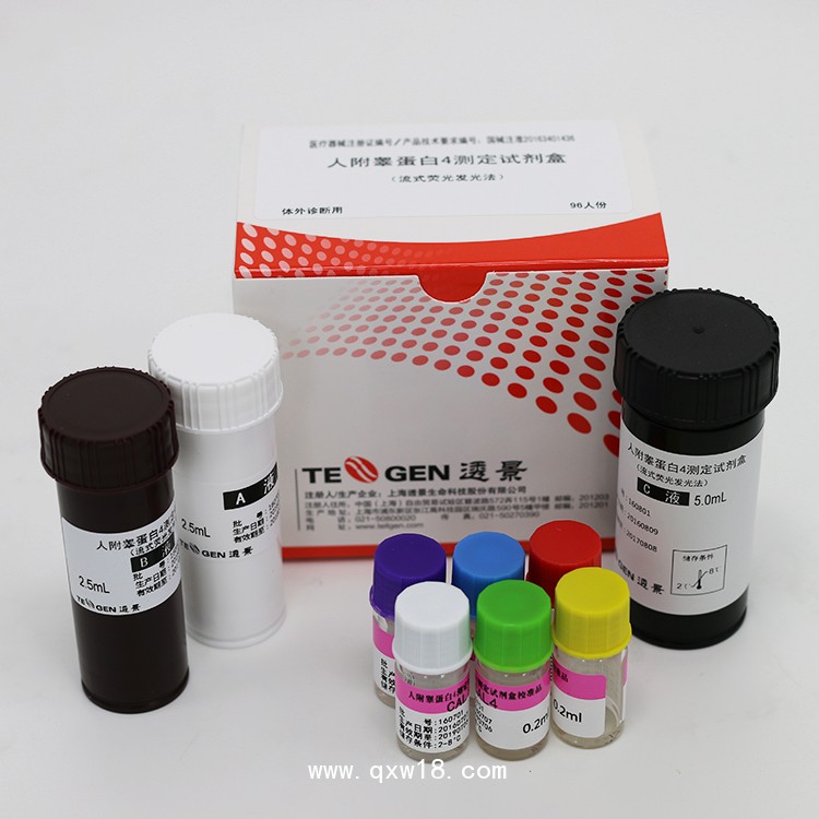 人附睪蛋白4定量檢測(cè)試劑盒