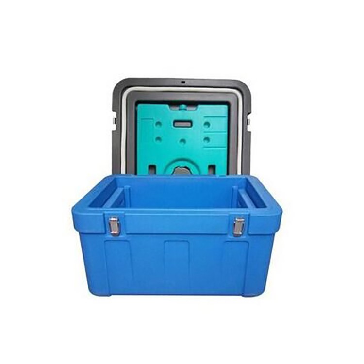 醫(yī)然65L車載保溫箱 血液冷藏箱