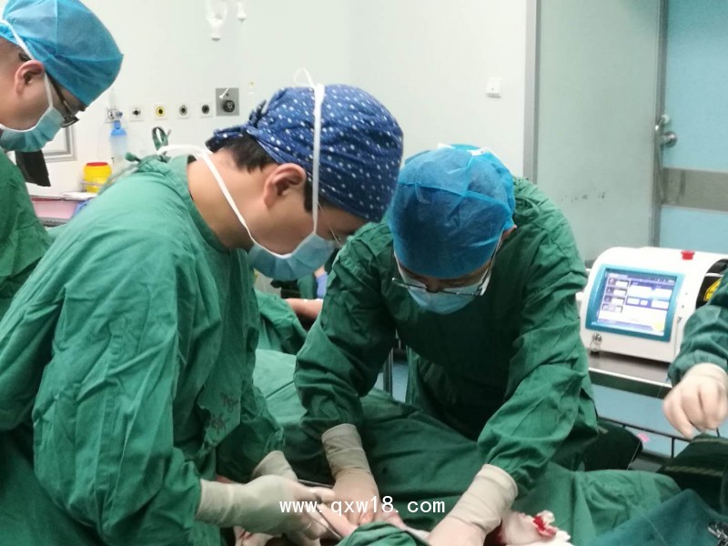 武漢博激VELAS-980nm血管外科大隱靜脈激光治療儀