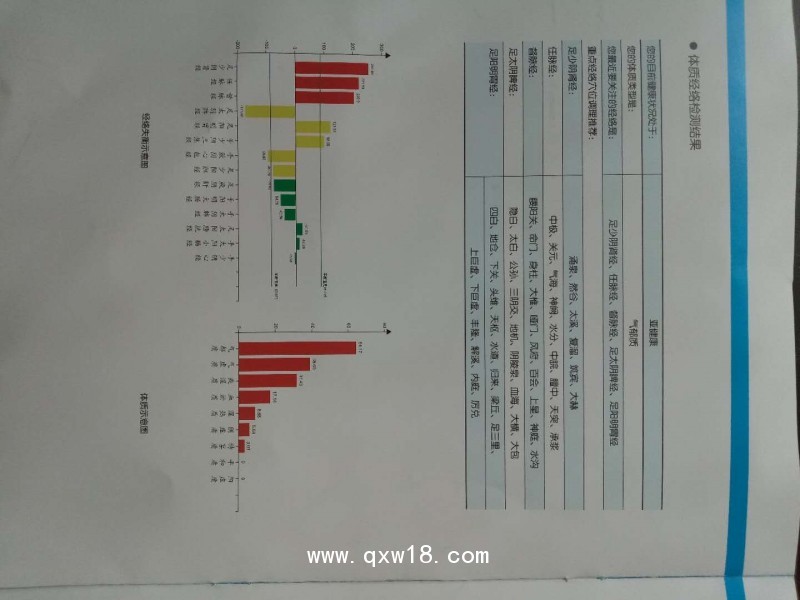 中醫(yī)體質(zhì)經(jīng)絡(luò)檢測儀