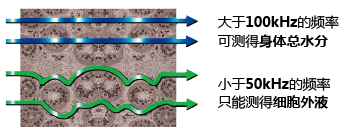 ioi353人體成分分析儀頻率