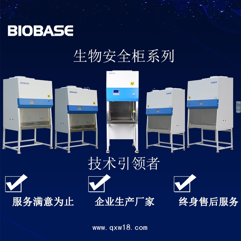 單人二級(jí)A2生物安全柜BSC-1100IIA2-X