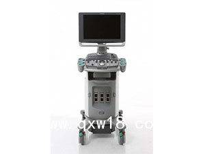 西門(mén)子彩超ACUSON X300PE