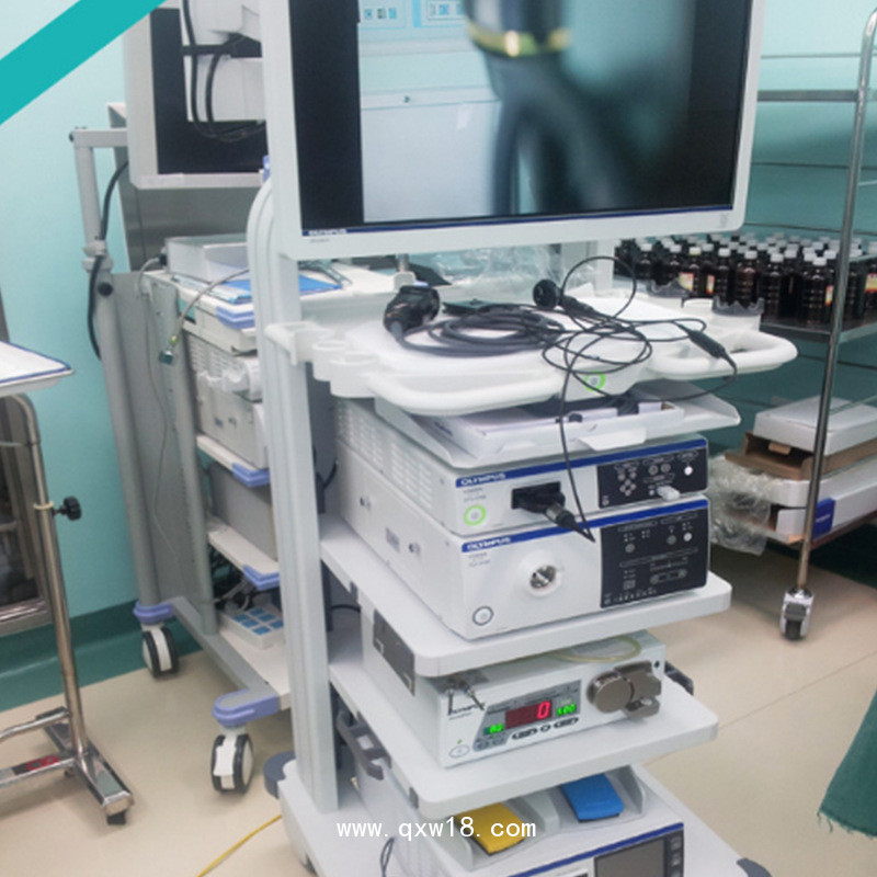 奧林巴斯電子胃鏡 胃腸內(nèi)窺鏡攝像系統(tǒng)