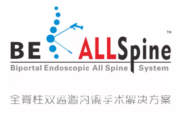 UBE 進口雙通道手術(shù)醫(yī)療器械 德國費格椎間空境