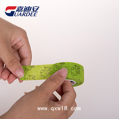 嘉迪安 貓狗寵物醫(yī)院 包扎固定繃帶