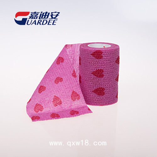 嘉迪安 貓狗寵物醫(yī)院 包扎固定繃帶