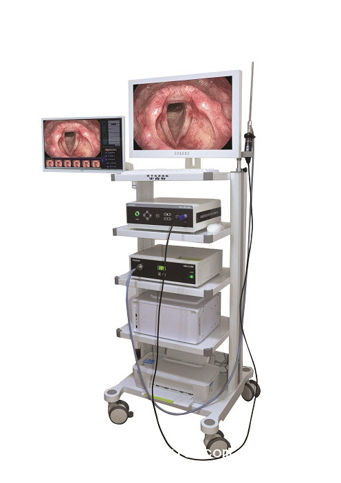 內(nèi)窺鏡攝像系統(tǒng)/圖文工作站/冷光源/攝像機(jī)/監(jiān)視器/儀器車(chē)