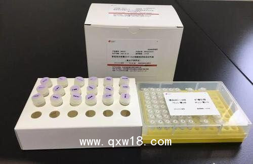 新型冠狀病毒2019-nCoV核酸檢測(cè)試劑盒（熒光PCR法）