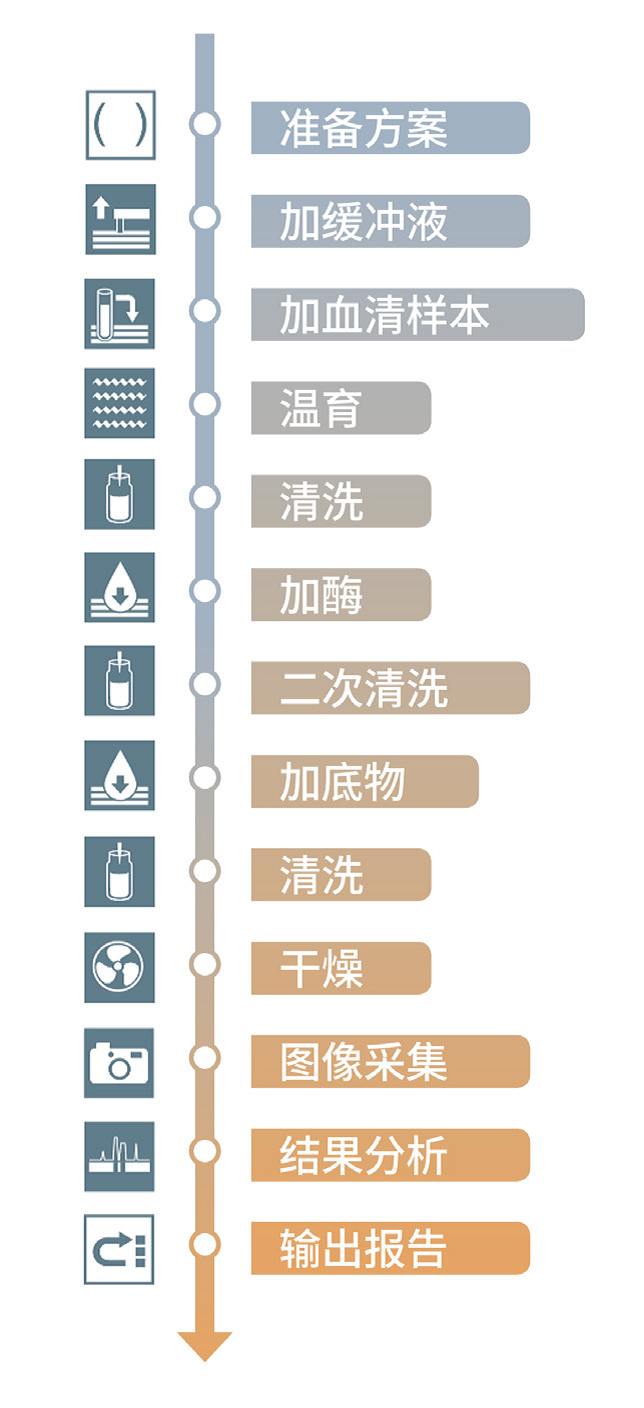 全自動(dòng)免疫印跡檢測系統(tǒng)EUROLineMaster Plus