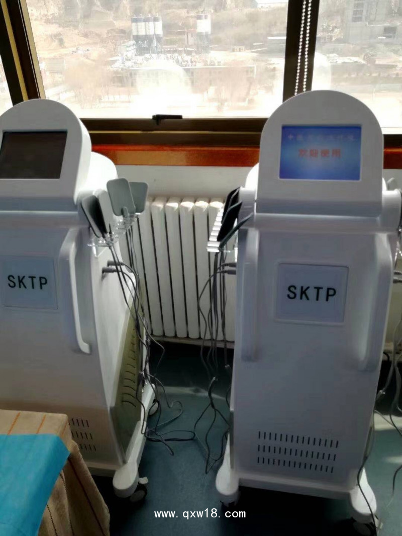 數(shù)控調(diào)頻脈沖治療儀