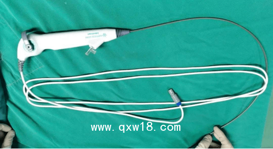 斑馬一次性使用輸尿管內(nèi)窺鏡導(dǎo)管