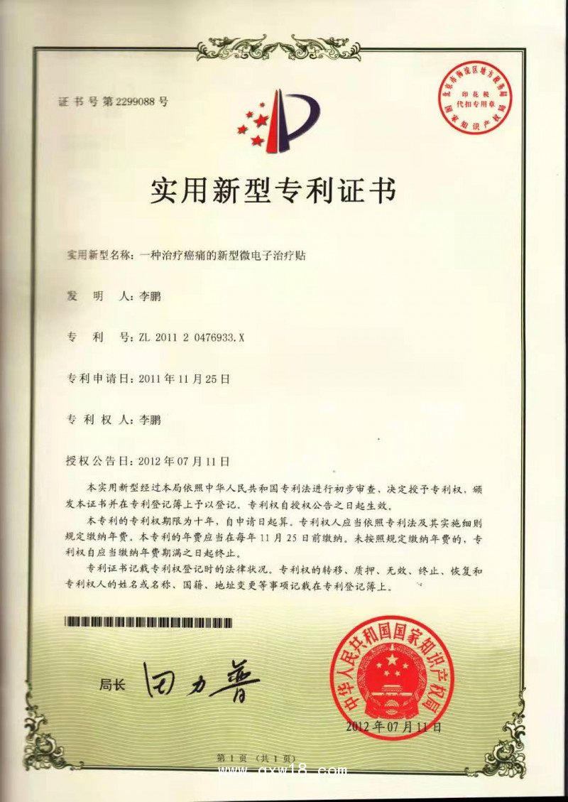 癌痛貼——消癌痛、消癌腫、排癌毒