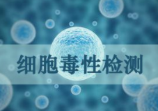 生物相容性試驗(yàn)皮膚刺激試驗(yàn)報(bào)告