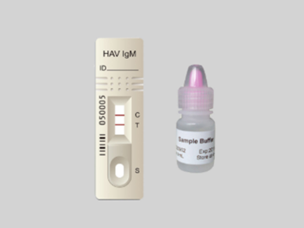 甲型肝炎病毒IgM抗體檢測試劑盒（膠體金法）