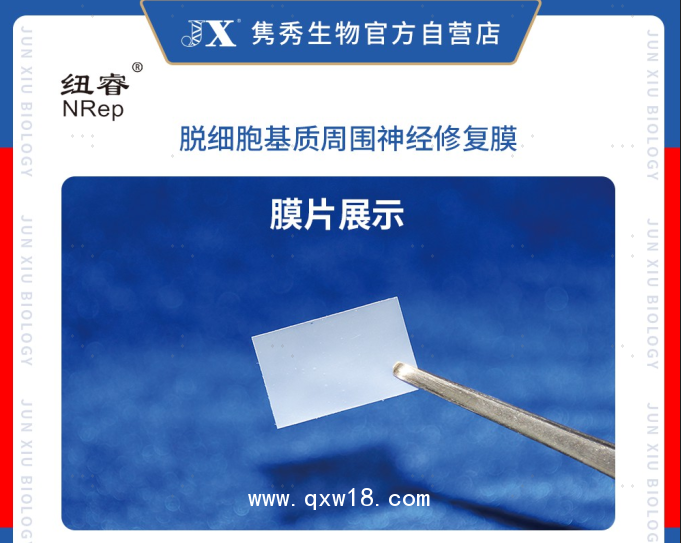 脫細胞基質(zhì)周圍神經(jīng)修復(fù)膜（紐睿）