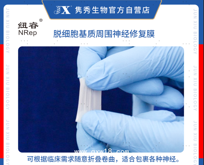 脫細胞基質(zhì)周圍神經(jīng)修復(fù)膜（紐睿）