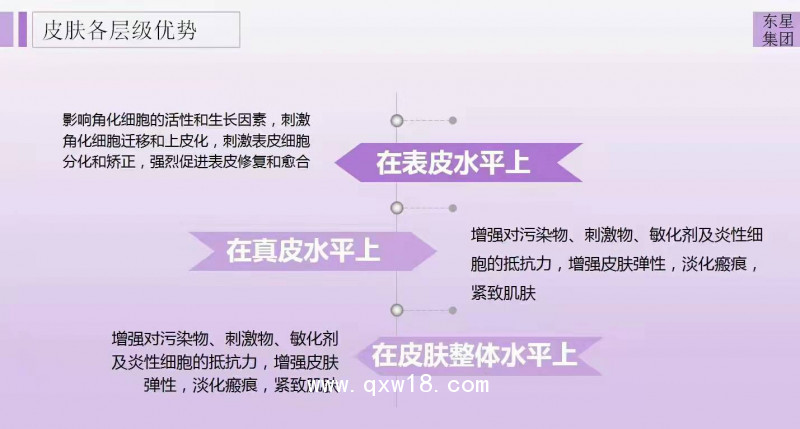 伊梵姿外泌體液體敷料