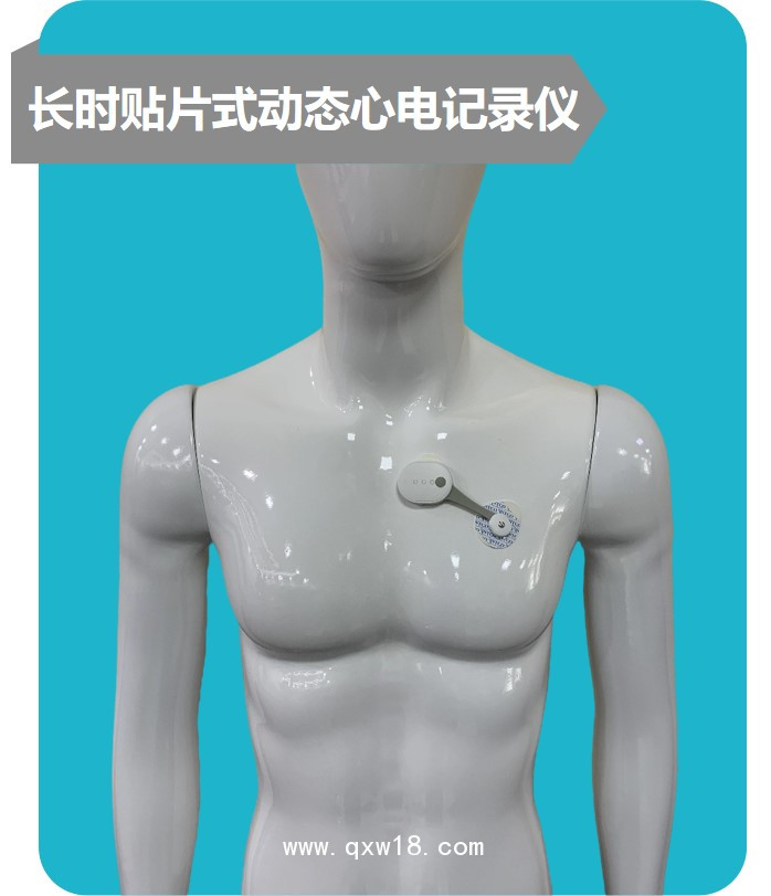 遠程動態(tài)心電服務項目