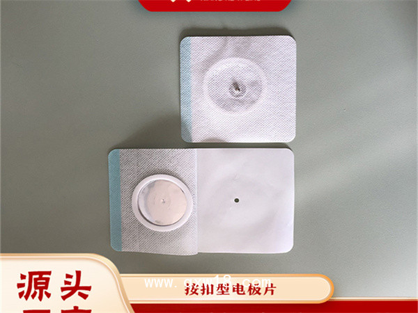 多規(guī)格異性電極片（按扣）