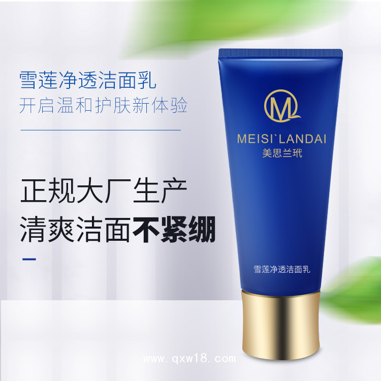 妝字號(hào) 潔面乳oem貼牌代加工 洗面奶代加工定制