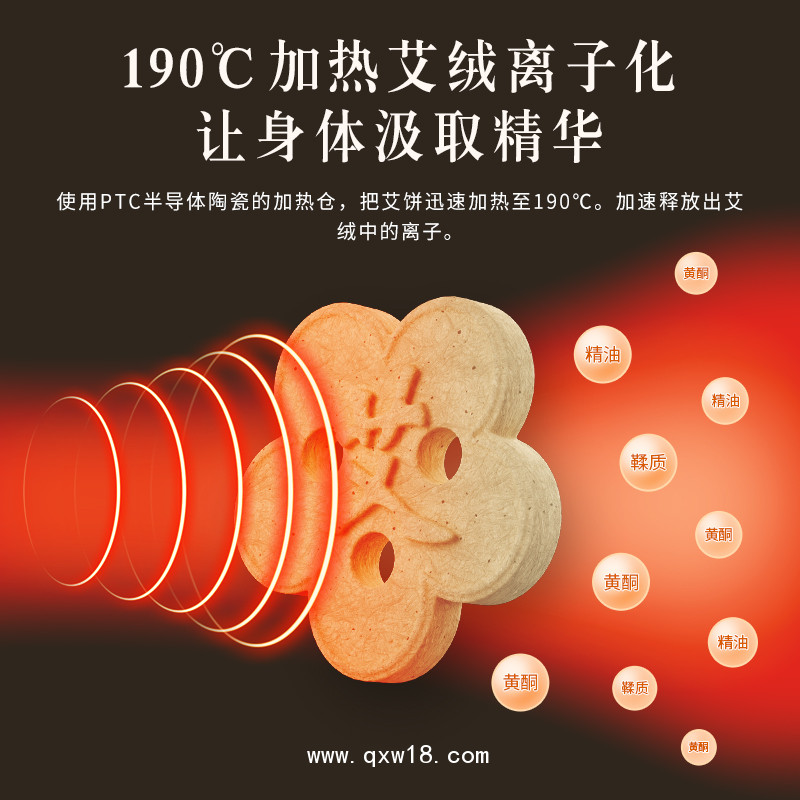 電子無(wú)煙艾灸儀 醫(yī)院招標(biāo)艾灸治療儀電 LY-AJ07b