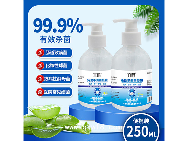 六鶴免洗凝膠洗手液250ml含75%酒精消毒凝膠免洗手液