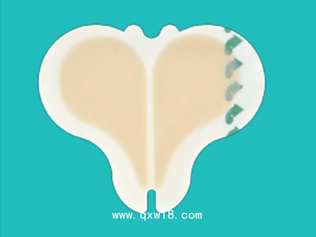 一次性使用無菌敷貼（壓瘡褥瘡貼）