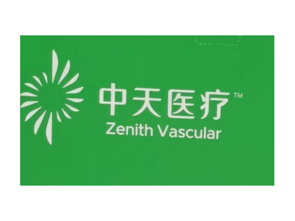 中天 遠(yuǎn)端通路導(dǎo)管6F 125CM B1670125 血管介入耗材