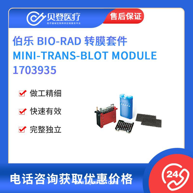 伯樂(lè)-Mini-trans-blot-Module轉(zhuǎn)膜套件