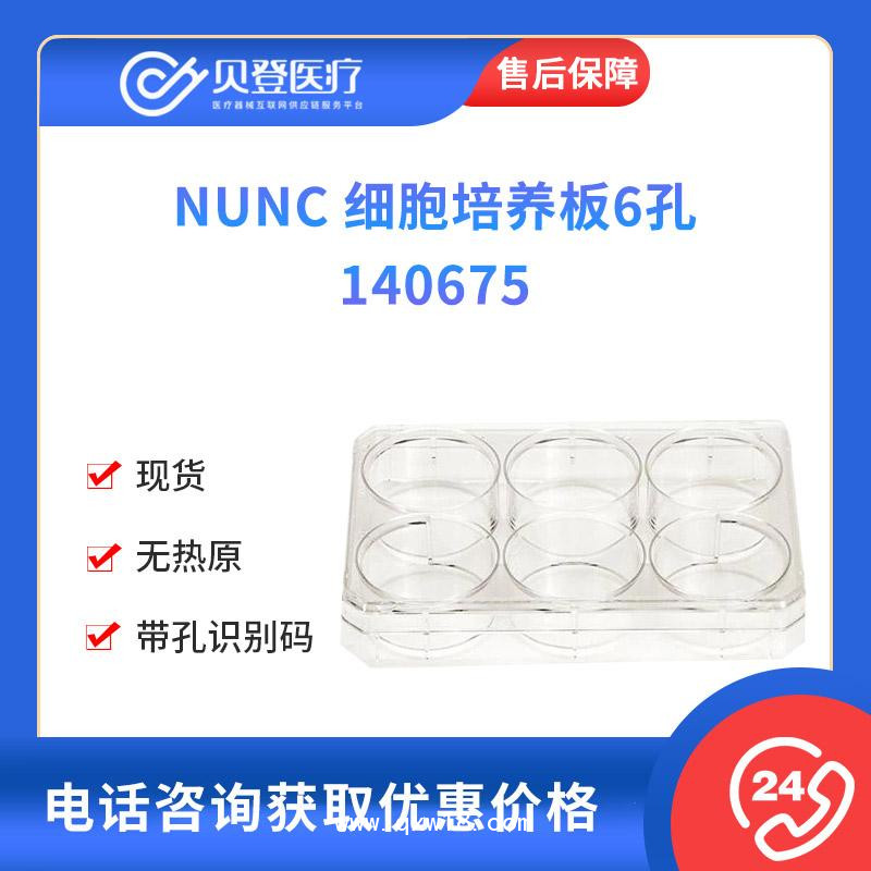 NUNC-細(xì)胞培養(yǎng)板6孔-75個(gè)-箱-140675