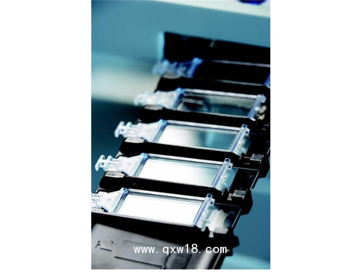 徠卡 全自動(dòng)染色機(jī) BOND-Max